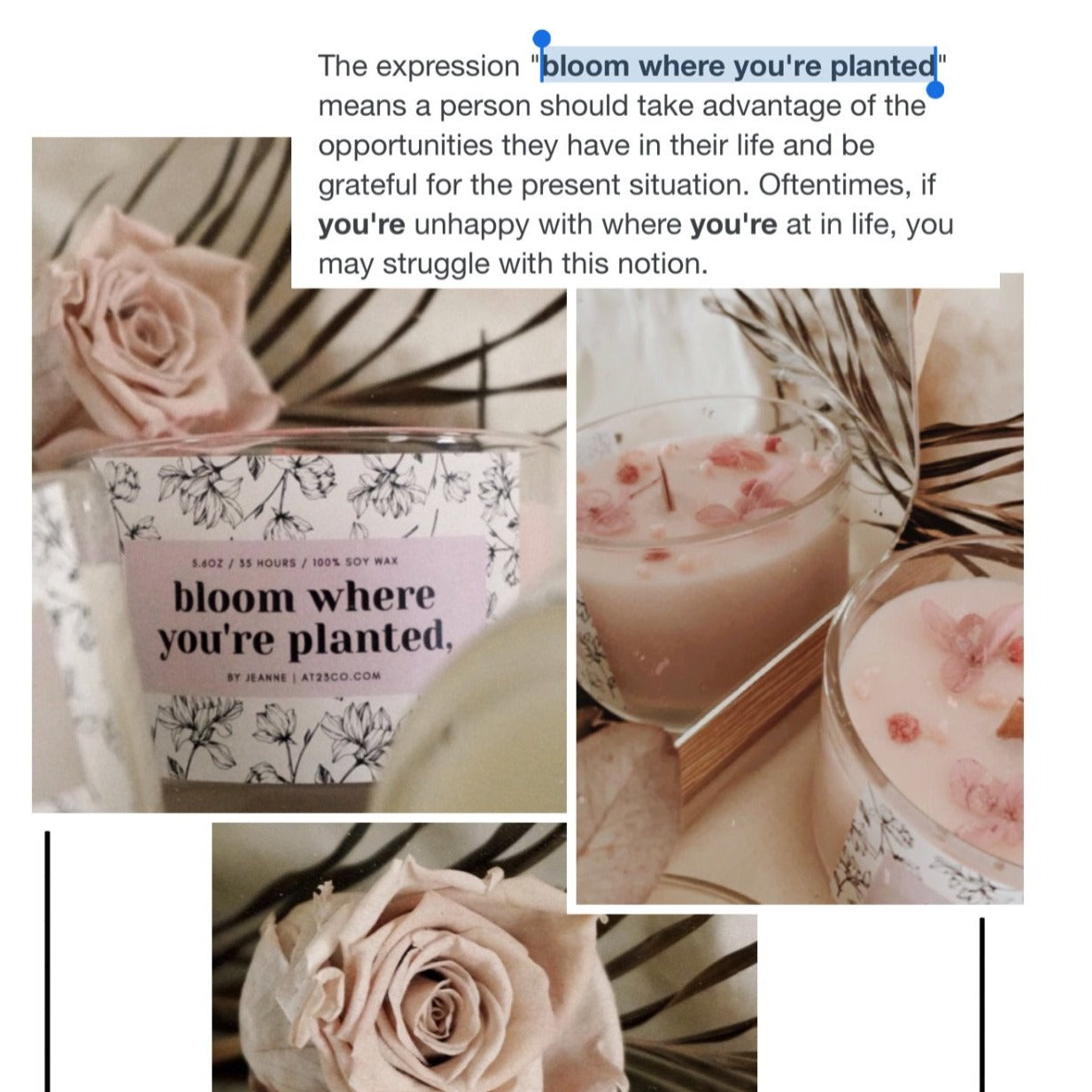 bloom where you're planted,