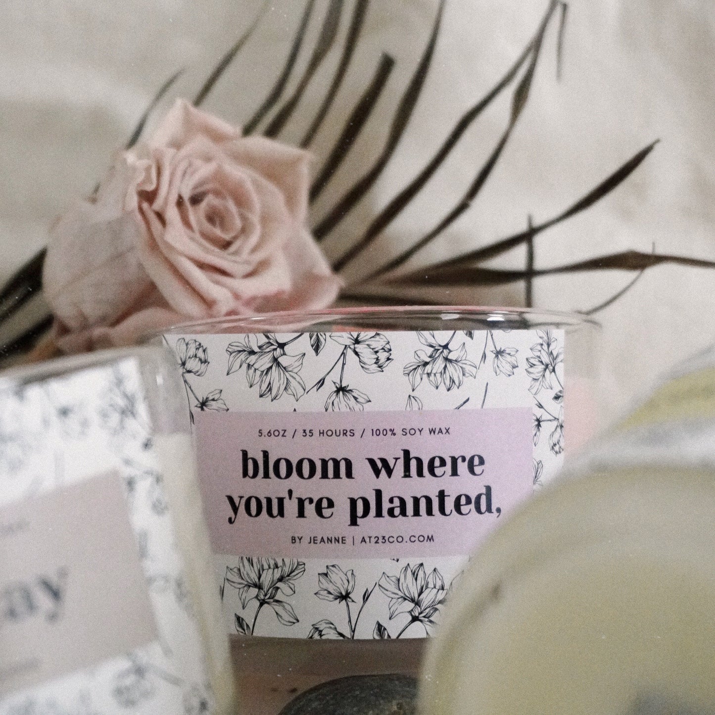 bloom where you're planted,